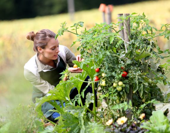 Coronavirus. L’appel aux bras pour travailler dans les champs se solde par un échec