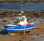 Pêche. Les mesures pour maintenir la filière à flot