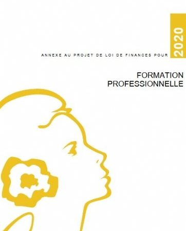 Projet de loi de finances 2020. Le « jaune » budgétaire sur la formation professionnelle est publié