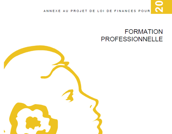 Projet de loi de finances 2020. Le « jaune » budgétaire sur la formation professionnelle est publié