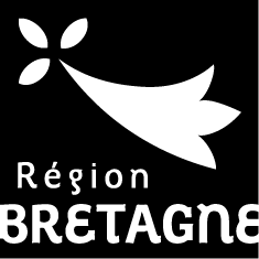 Région Bretagne. Adoption du budget 2020