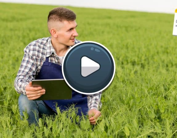 Replay. Agriculture de demain, un champ de compétences à cultiver